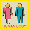 humanbody